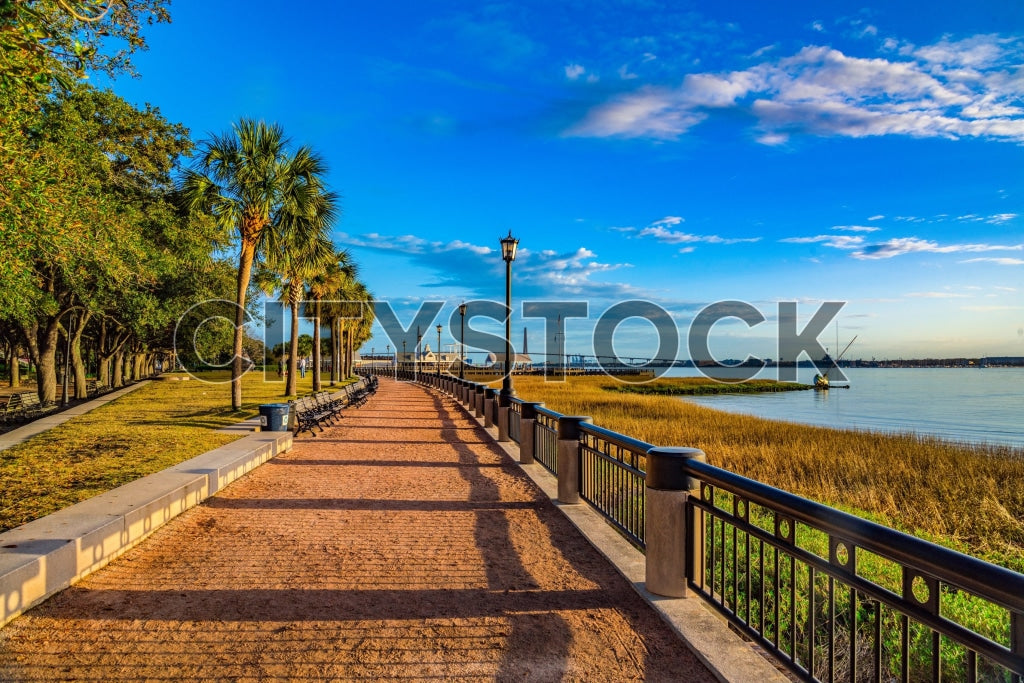 Early Morning View of Charleston Waterfront with Palm Trees and River