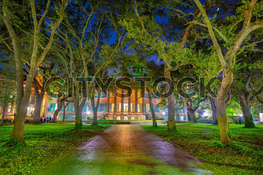 Historic Charleston Courthouse illuminated at night surrounded by oak trees