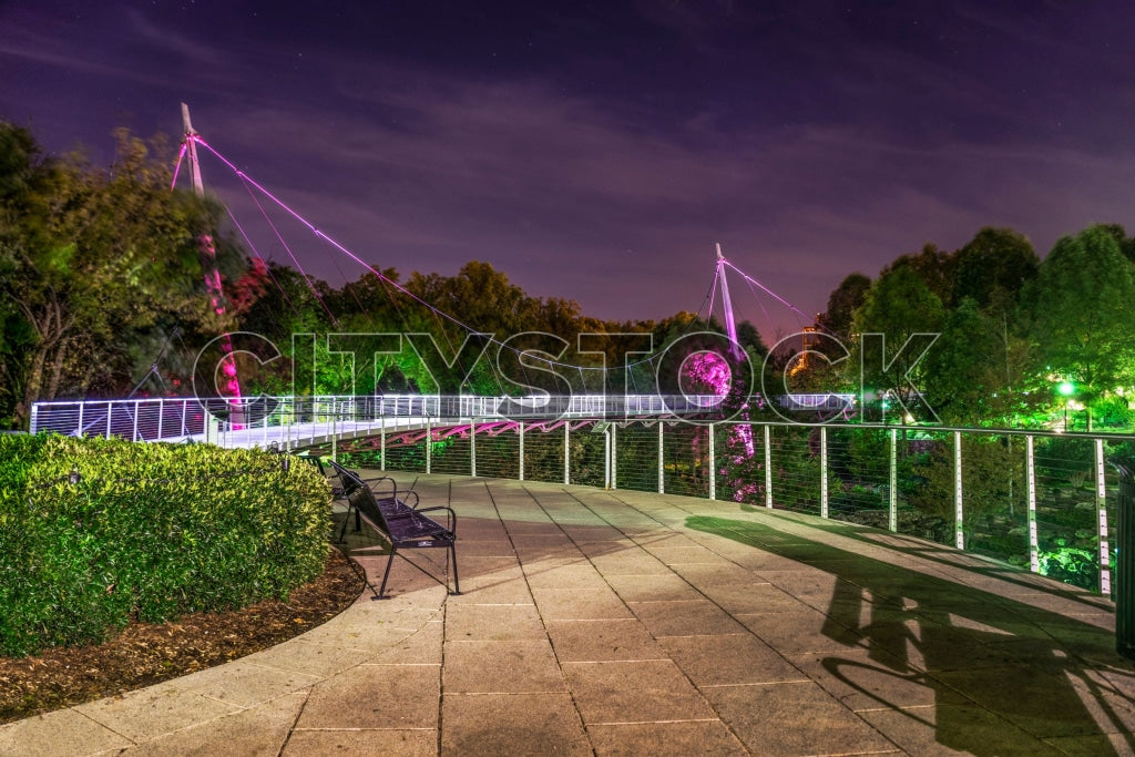 Night shot of vibrant illuminated bridge in Greenville park