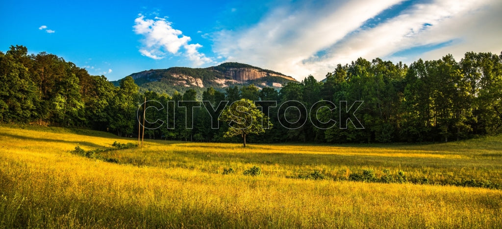 Lush Meadow and Mountain at Sunset in Greenville, SC