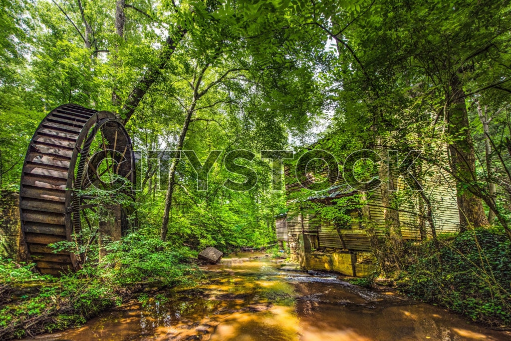 Historic mill and water wheel in Greenville forest, South Carolina