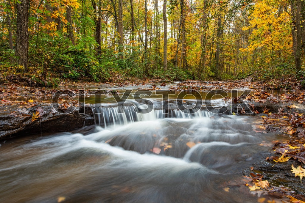 Autumn colors on tranquil creek in Greenville, South Carolina