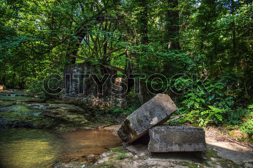 Old rustic bridge over a stream surrounded by lush greenery in Greenville, SC