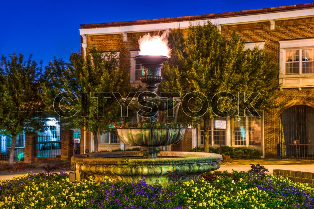 Fiery fountain at night surrounded by greenery in Greenville, SC