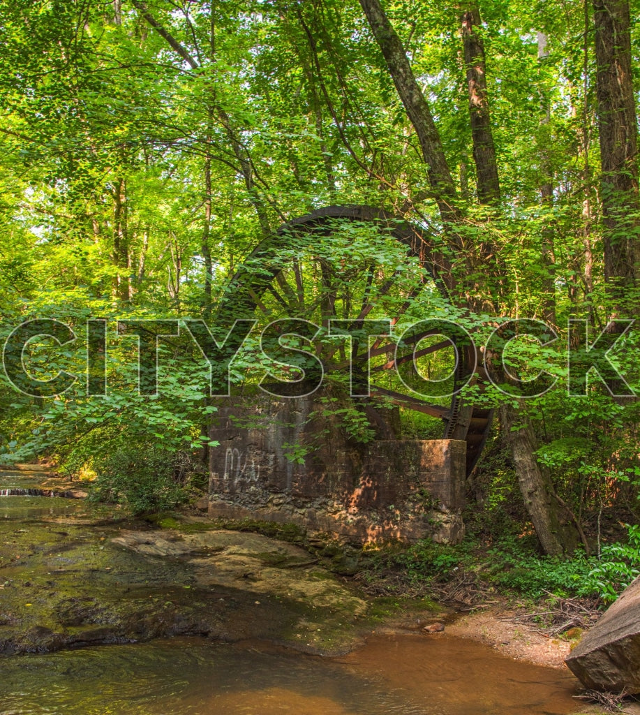 Stone bridge over creek in lush Greenville forest