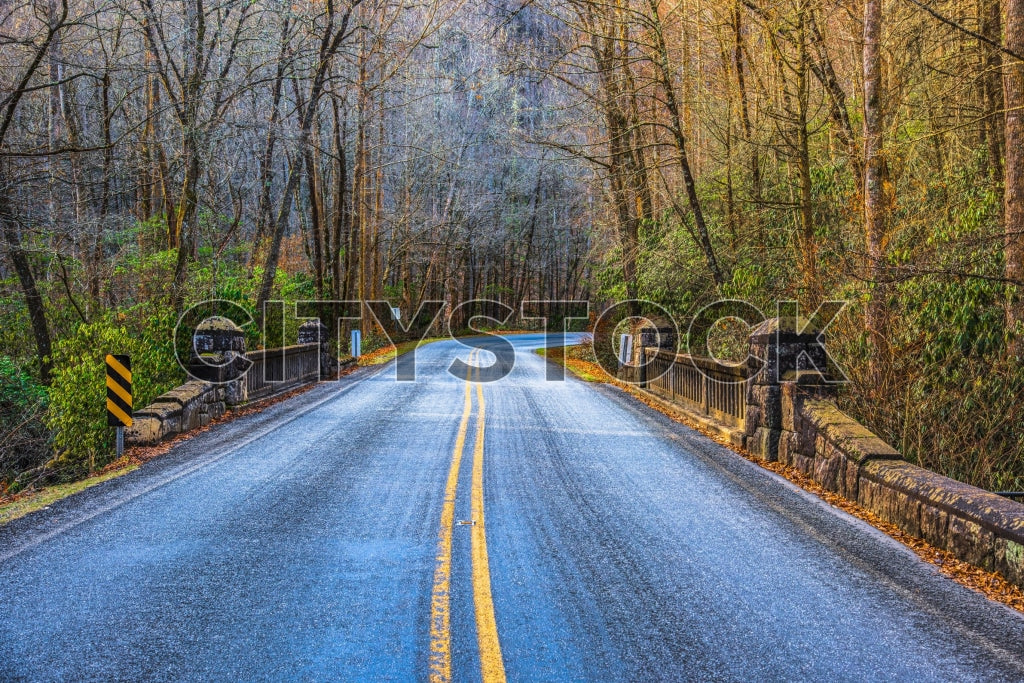 Sunlit autumn road with forest on both sides in Greenville, SC